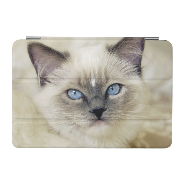 Ragdoll kitten iPad mini cover (Horizontal)