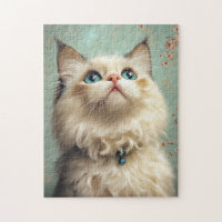 Ragdoll kitten
