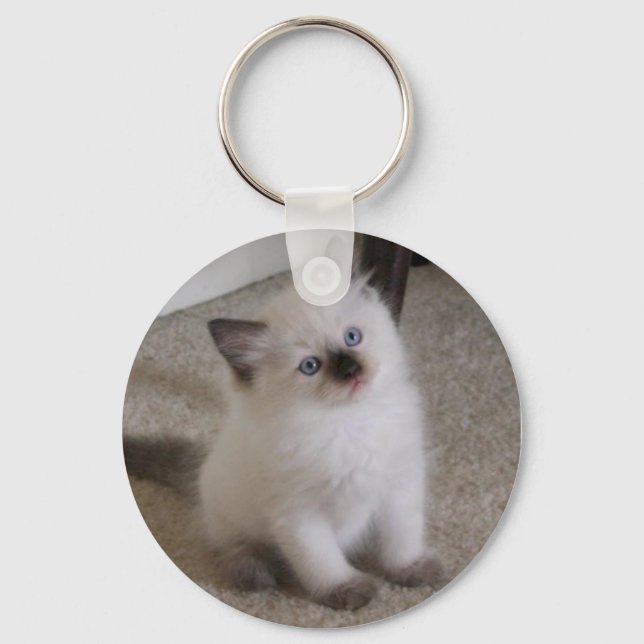 Ragdoll Kitten Keychain (Front)