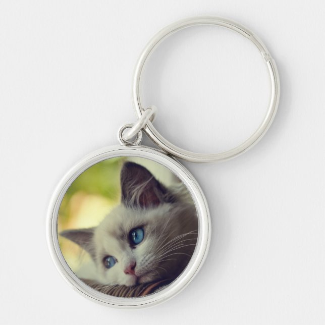 Ragdoll Kitten Keychain (Front)