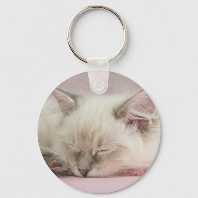 ragdoll kitten keychain (Front)