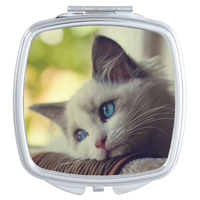 Ragdoll Kitten Makeup Mirror (Front)
