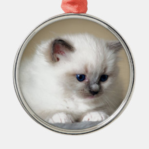Ragdoll Kitten Metal Ornament