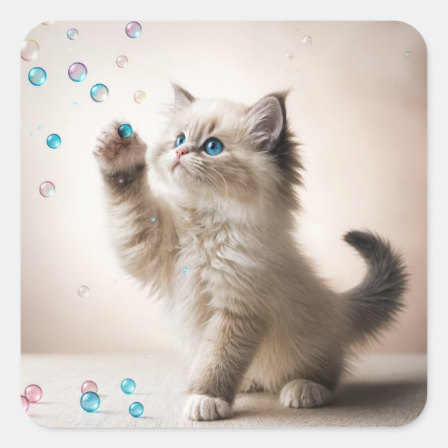 Ragdoll Kitten Playing With Bubbles Square Sticker (Front)