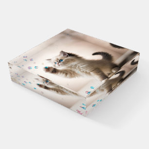 Ragdoll Kitten Playing With Soap Bubbles Paperweight