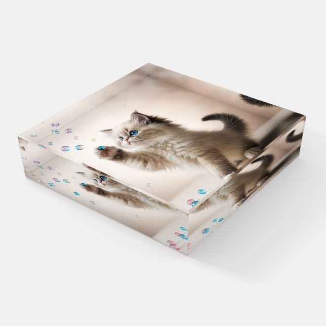 Ragdoll Kitten Playing With Soap Bubbles Paperweight (Angled)