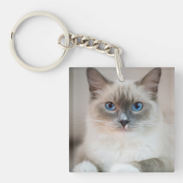 Ragdoll Kitten Portrait Keychain (Front)