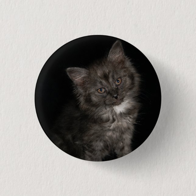 Ragdoll kitten ragdoll cat face black white kitty  button (Front)
