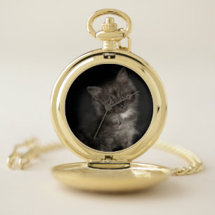 Ragdoll kitten ragdoll cat face black white kitty  pocket watch
