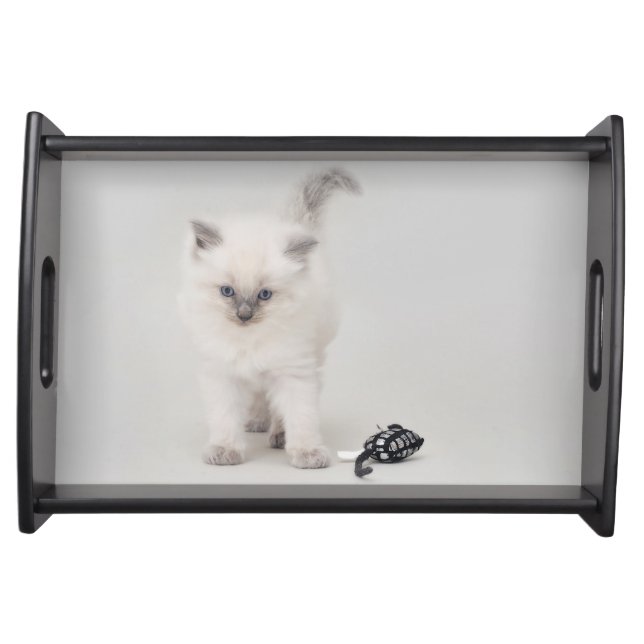 Ragdoll Kitten Serving Tray (Front)