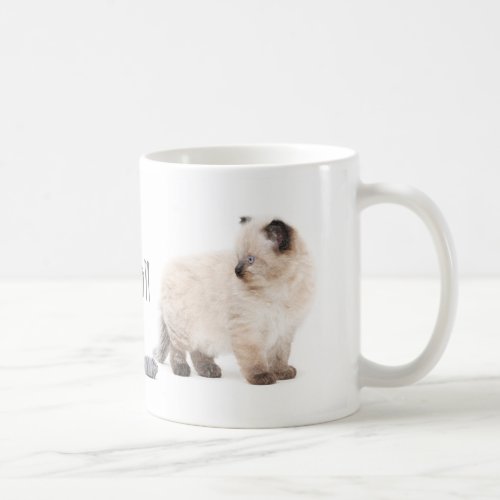 Ragdoll kitten sketch mug