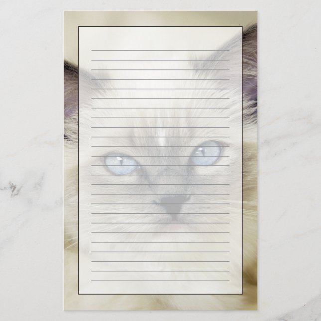 Ragdoll kitten stationery (Front)