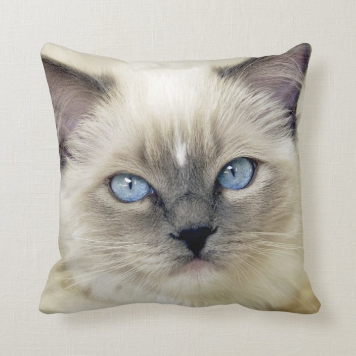 kitten throw pillow