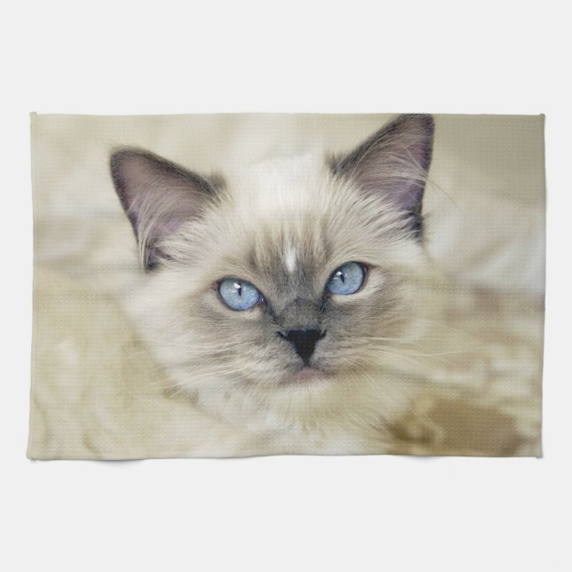 Ragdoll kitten towel (Horizontal)