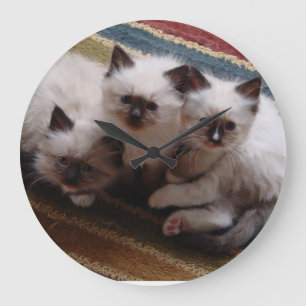 Ragdoll Kittens Clock