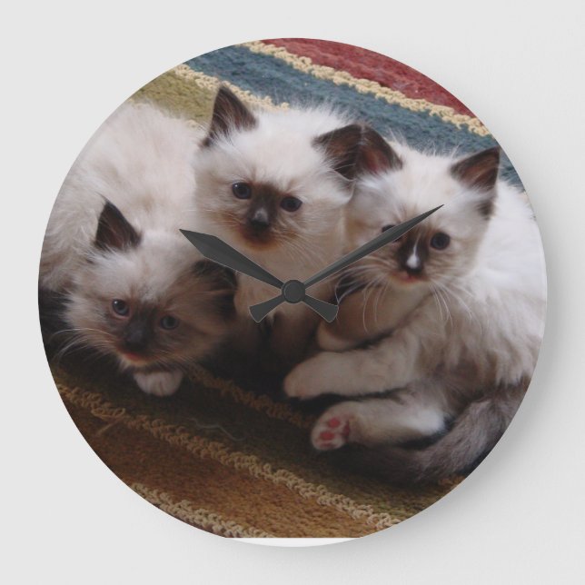 Ragdoll Kittens Clock (Front)