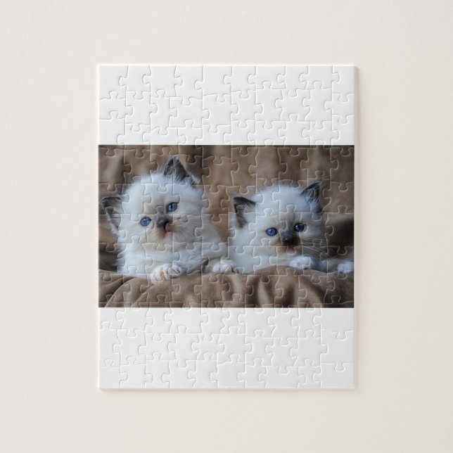 Ragdoll Kittens Jigsaw Puzzle (Vertical)