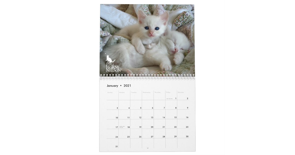 Ragdoll Kittens Vol One Calendar Zazzle Com