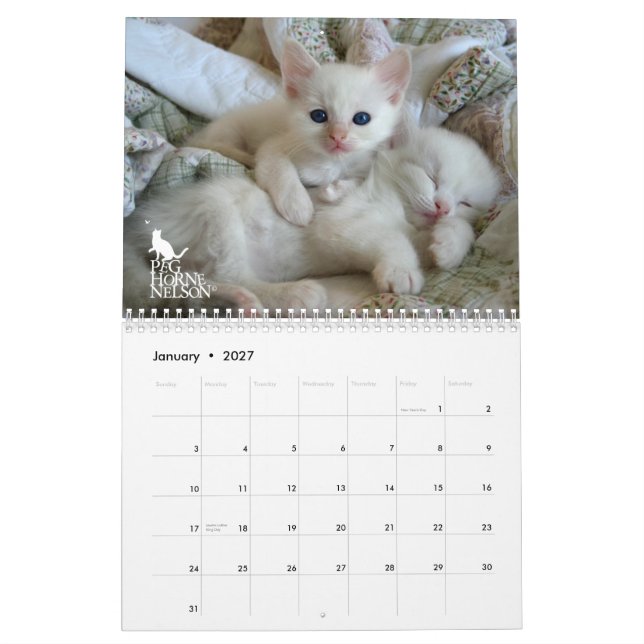 Ragdoll Kittens Vol. One Calendar (Jan 2027)