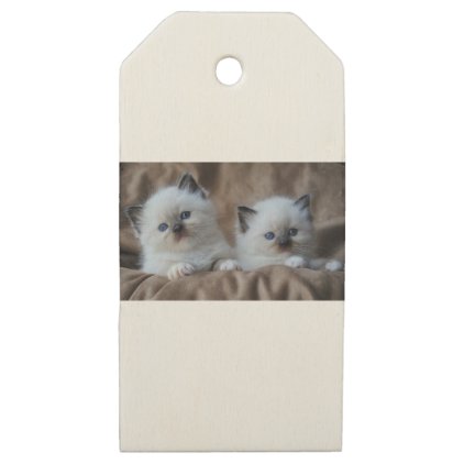 Ragdoll Kittens Wooden Gift Tags