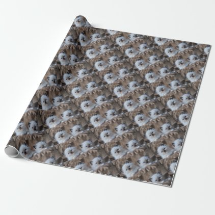 Ragdoll Kittens Wrapping Paper