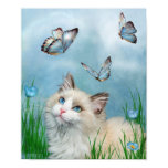 Ragdoll Kitty And Butterflies Art Poster/Print Poster