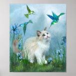 Ragdoll Kitty And Hummingbirds Art Poster/Print Poster