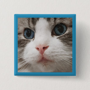 Ragdoll Kitty Button