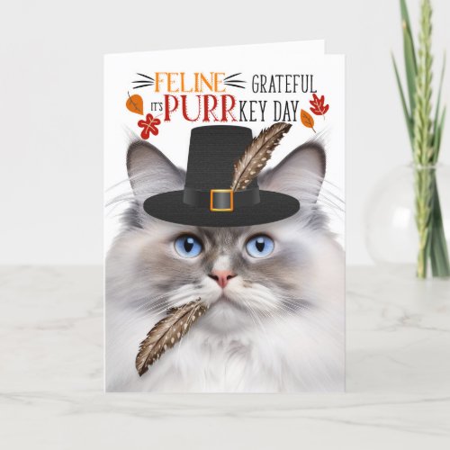 Ragdoll Lilac Point Cat Grateful for PURRkey Day Holiday Card