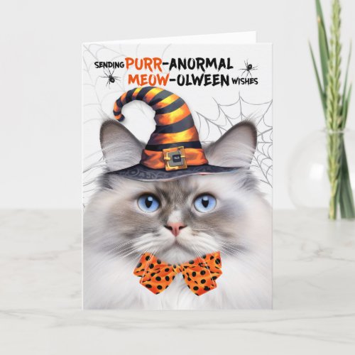 Ragdoll Lilac Point Cat PURRanormal MEOWolween Holiday Card