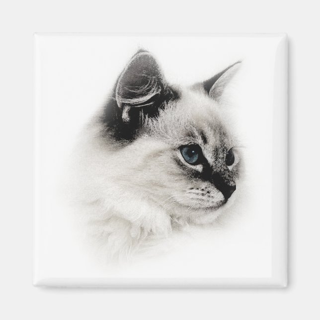 ragdoll magnet (Front)