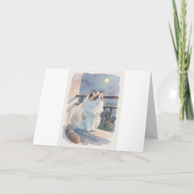 Ragdoll Moonlit Balcony Gaze Greeting Card