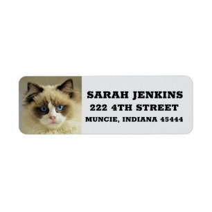 RAGDOLL PERSIAN CAT Big Return Address Labels
