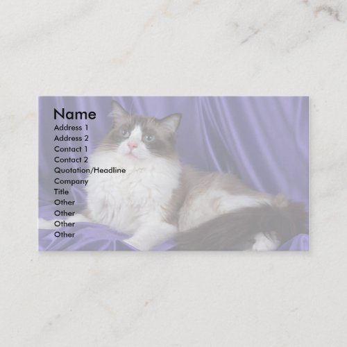 Ragdoll, seal bi-color business cards