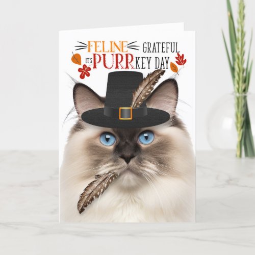 Ragdoll Seal Point Cat Grateful for PURRkey Day Holiday Card
