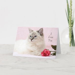 Ragdoll Valentine Card