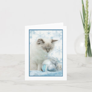ragdoll winter notecard