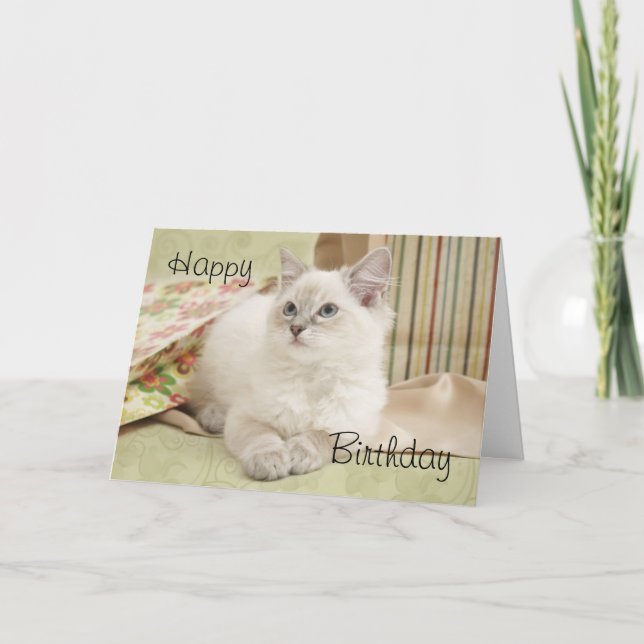 Ragdoll with giftbags birthday card (Front)