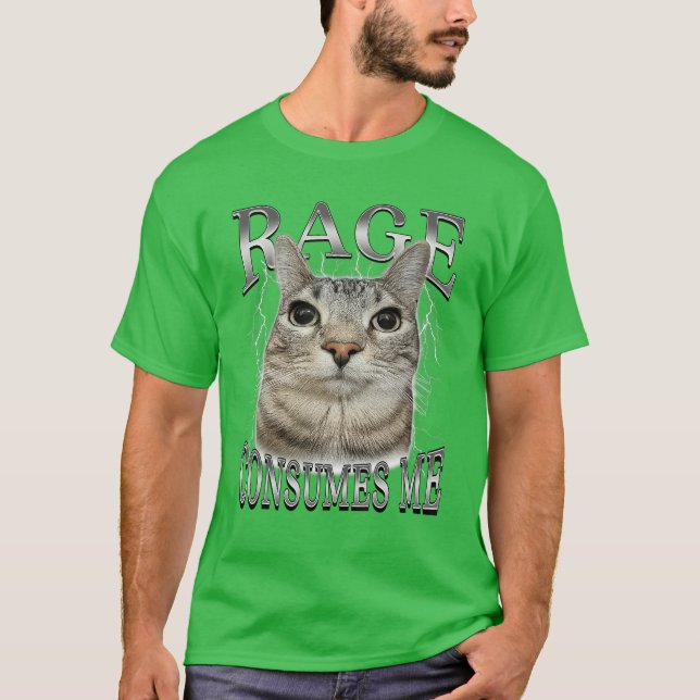 Rage Consumes Me Funny Silly Staring Cat Meme Wome T-Shirt (Front)