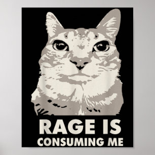 Rage Is Consuming Me Angry Cat Meme Sarcasm Funny Poster