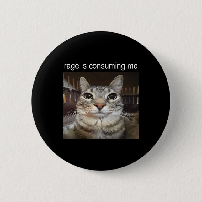 Rage Is Consuming Me Silly Staring Cat Meme  Button (Front)