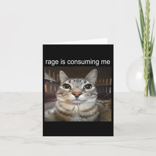 Rage Is Consuming Me Silly Staring Cat Meme  Card (Front)