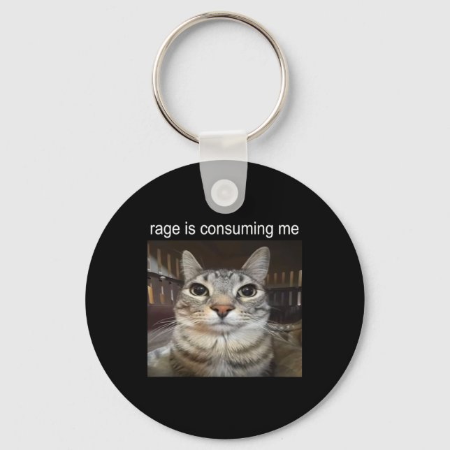 Rage Is Consuming Me Silly Staring Cat Meme  Keychain (Front)