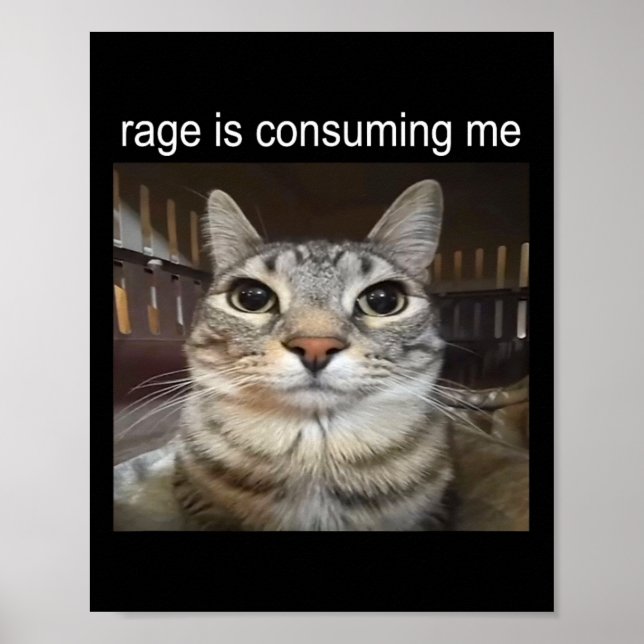Rage Is Consuming Me Silly Staring Cat Meme  Poster (Front)