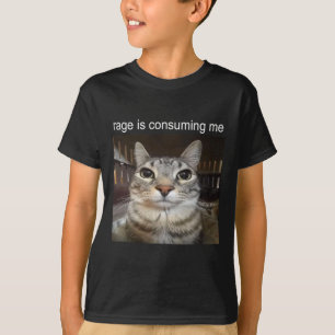 Rage Is Consuming Me Silly Staring Cat Meme T-Shirt