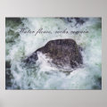 Raging river poster | Zazzle