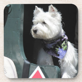 Railroad Terrier Dog Beverage Coaster