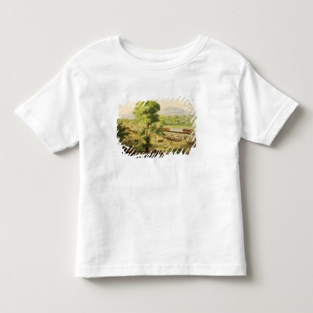 Railway in the Valley of Mexico, 1869 Toddler T-shirt (Front)