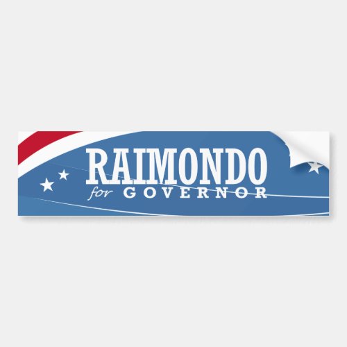 RAIMONDO FOR GOVERNOR 2014 BUMPER STICKER