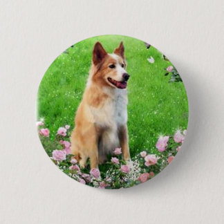 raimubatti pinback button
